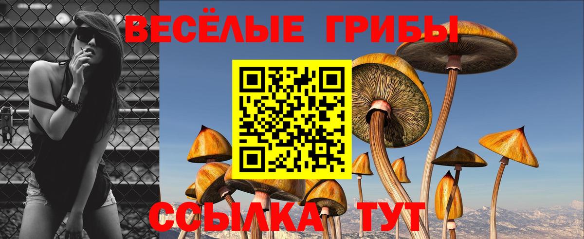 Галлюциногенные грибы мицелий  Вход с VPN  хочу наркоту  Можга 